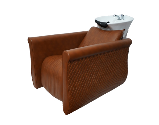 Texas Luxury Electric