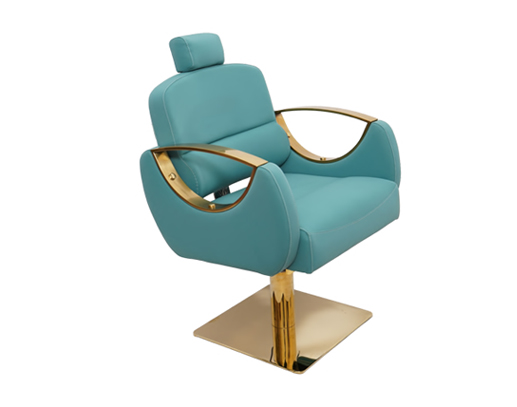 Venice Upgrade Multipurose Chair